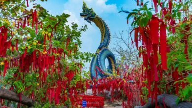 dragon garden