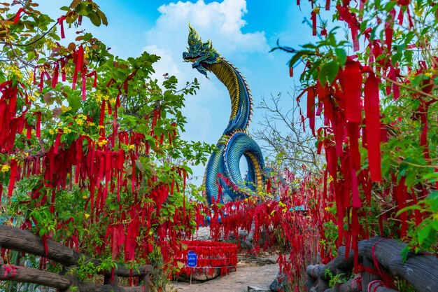 dragon garden